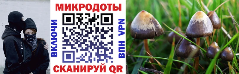 Псилоцибиновые грибы GOLDEN TEACHER  Оханск 